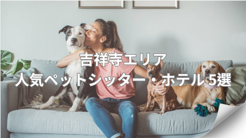 【吉祥寺版】人気の ペットシッター ・ペットホテル5選|料金・特徴