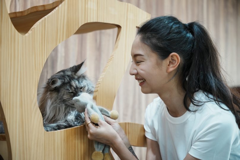 【2025北投、士林、天母貓旅館推薦】人氣保姆安娜專屬照顧服務介紹｜寵物寄宿、安親與照護一次看懂｜毛小愛精選