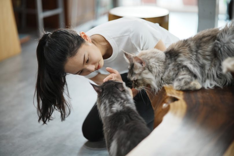 【2025新店、小碧潭地區寵物旅館推薦】狗狗安親＆到府保姆照護延伸介紹｜評價、環境、價格總整理｜毛小愛精選