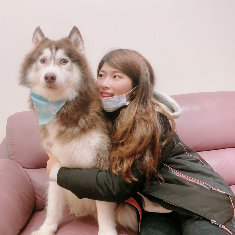 【2025貓旅館、貓保姆推薦】毛小愛推薦先嗇宮、三重、菜寮、三和國中、台北橋3位寵物保姆懶人包｜寵物寄宿、安親評價價位總整理