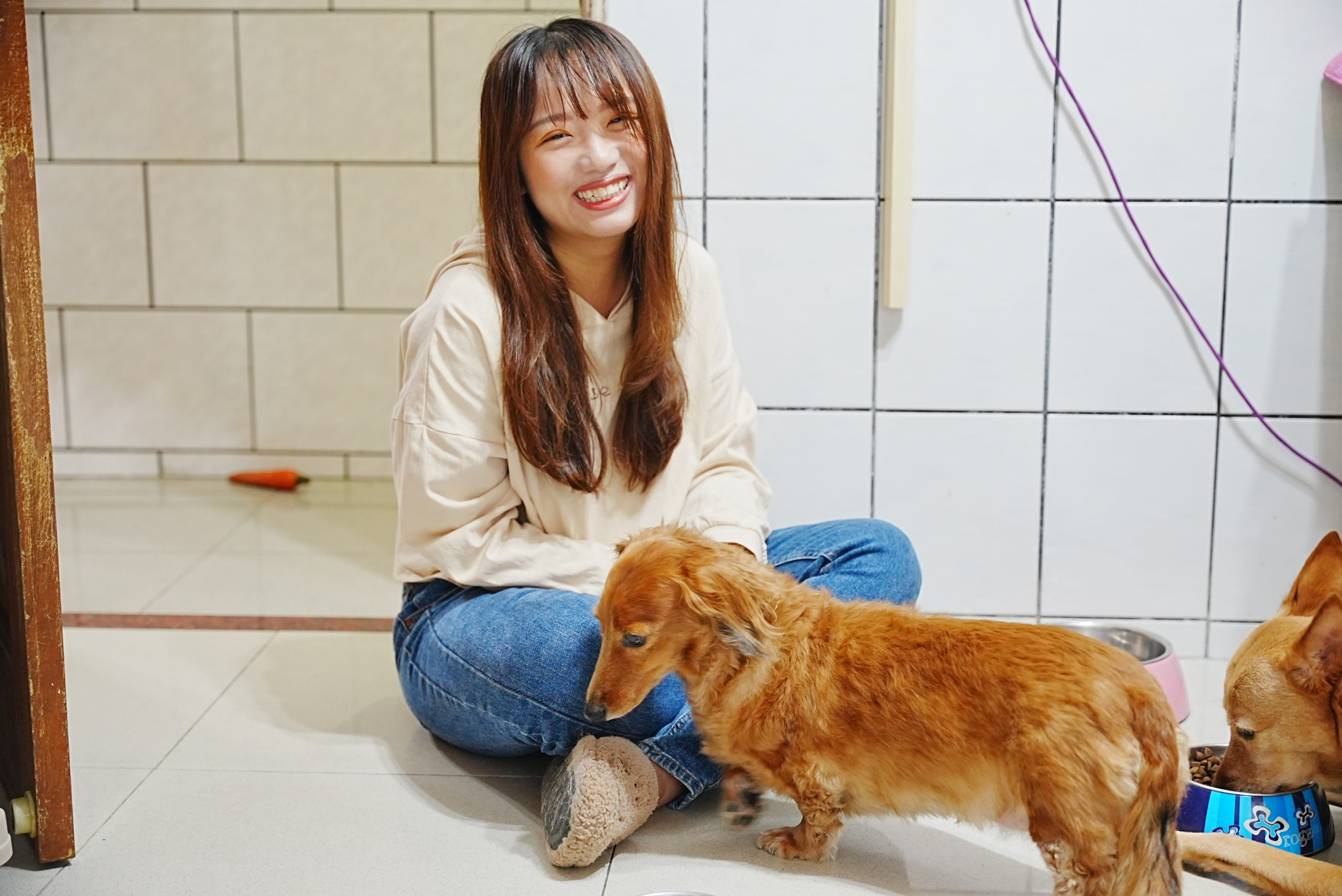 【2025市政府・信義安和站貓旅館推薦】人氣住宿總整理＋3位貓保姆延伸介紹｜永春站照顧服務與價格評論｜毛小愛精選