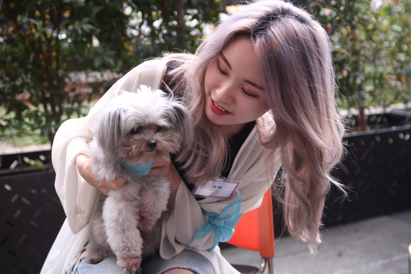 【2025台北中山、大同貓旅館推薦】9間高評價住宿＋在地貓保姆延伸照護整理｜價格、環境與評價一次看懂｜毛小愛精選