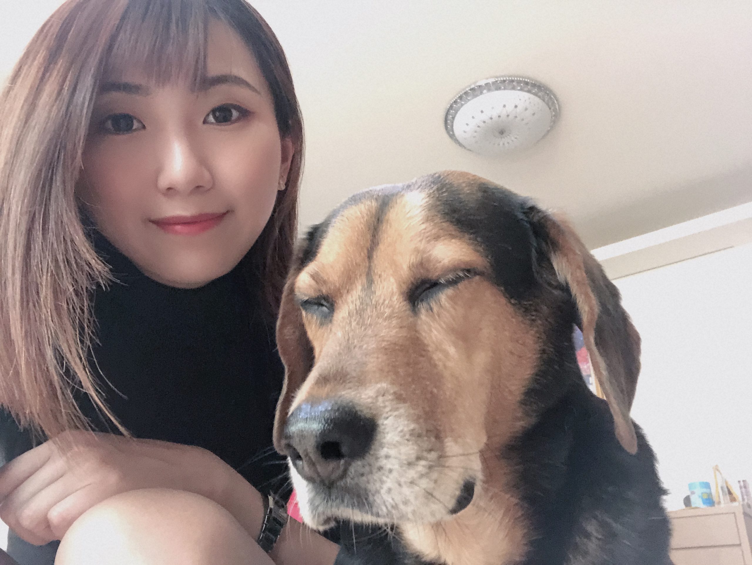 【2025台北民生社區貓旅館推薦】3位貓保姆照顧延伸介紹｜寵物住宿、安親與價位評論總整理｜毛小愛精選