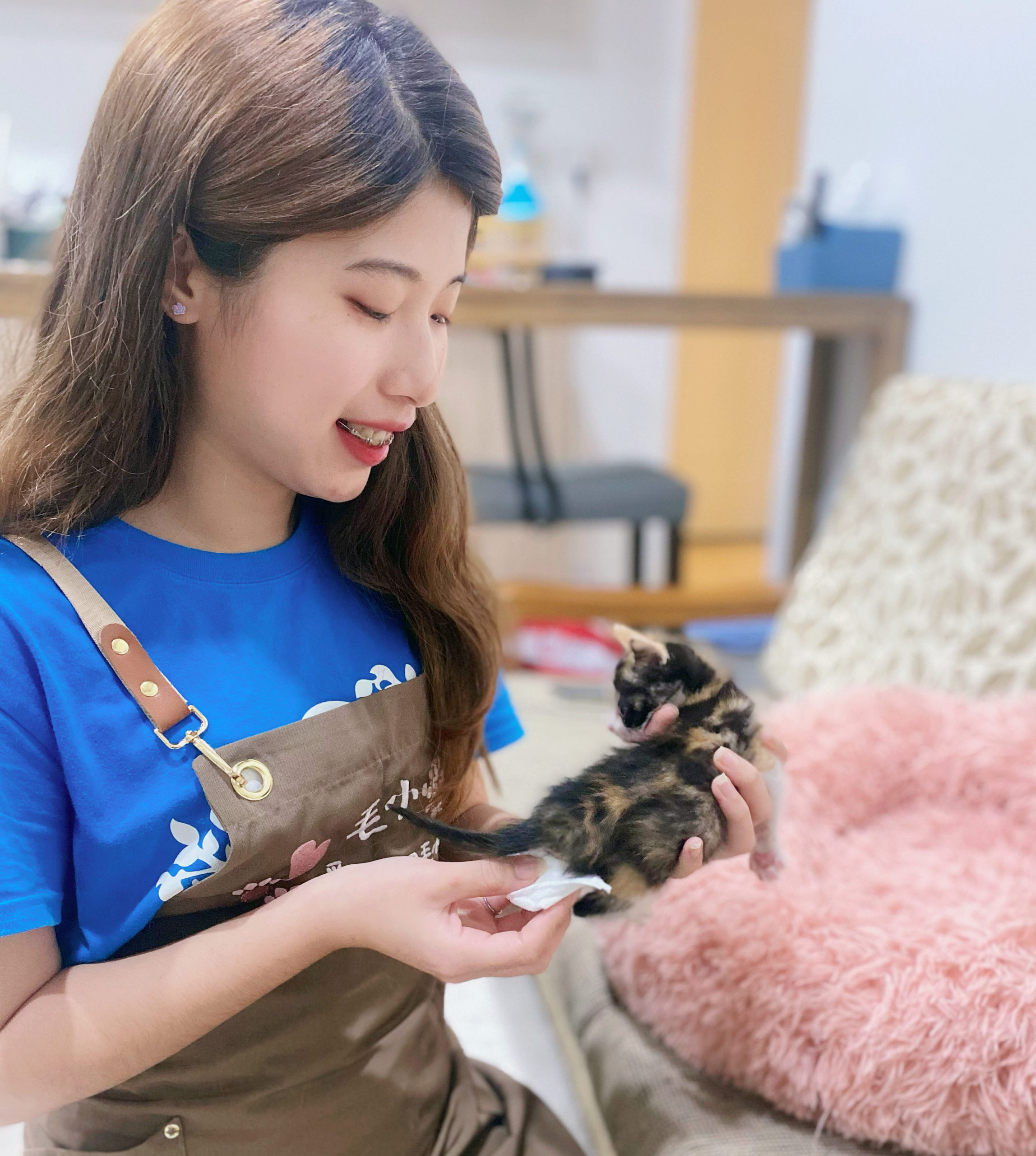 【2025蘆洲、三重貓旅館推薦】9間人氣住宿空間＋在地貓保姆延伸照護介紹｜價格、環境與評價一次看懂｜毛小愛精選