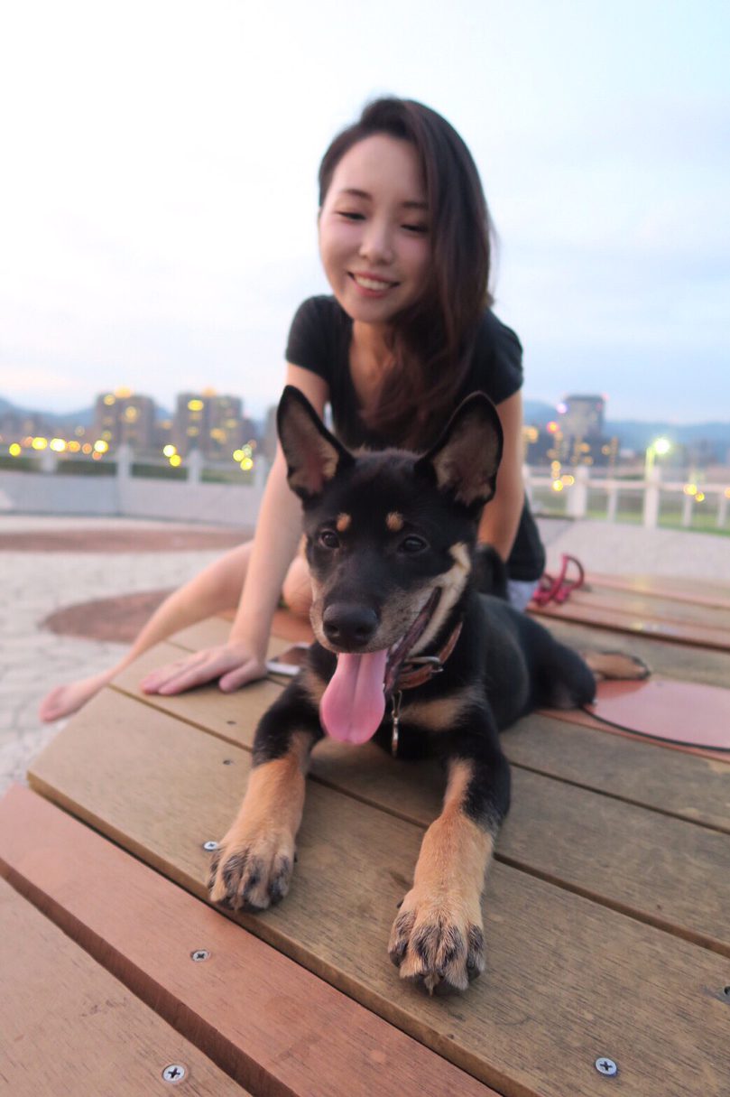 【2025桃園貓旅館推薦】3位人氣貓保姆照護延伸介紹｜住宿環境、安親服務與價位評價總整理｜毛小愛精選