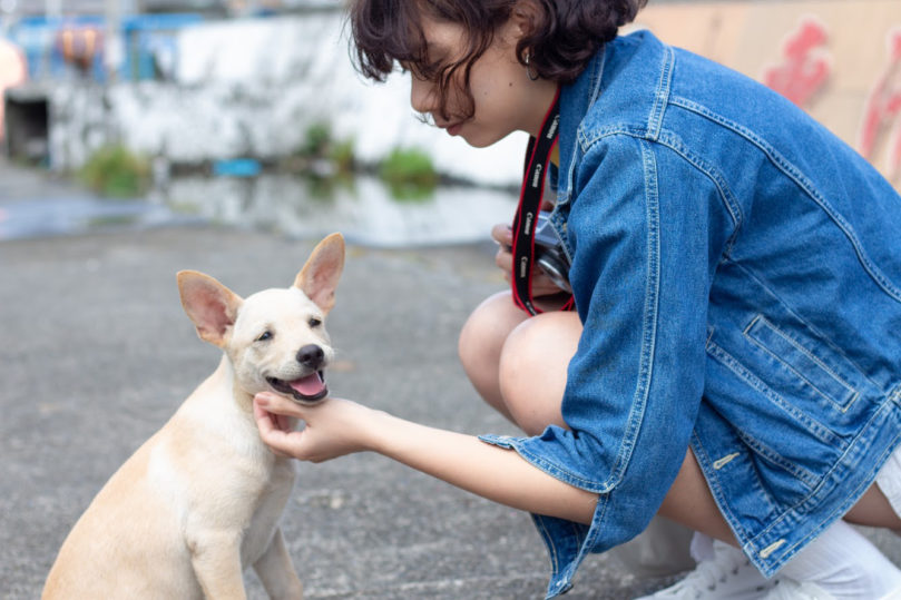 【2025南港區・汐止區貓旅館推薦】高評價寵物旅館與照顧方案總整理｜毛小愛推薦貓保姆＆遛狗服務延伸介紹