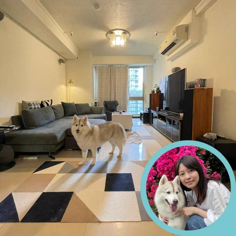 【2025南港區・汐止區貓旅館推薦】不關籠、居家型貓咪寄宿總整理｜毛小愛精選＋貓保姆延伸照顧方案