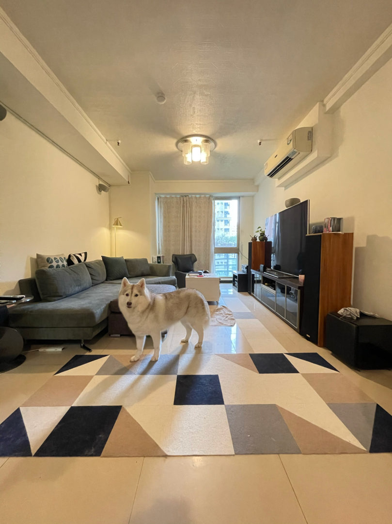 狗狗可以獨自在家多久？如何解決狗狗分離焦慮？找寵物保姆陪伴更安心！（2025.03 更新）