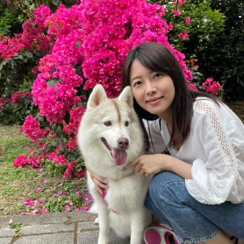 【2025家庭主婦彈性兼職推薦】毛小愛寵物保姆工作曝光：在家陪小孩也能照顧貓旅館客戶毛孩！