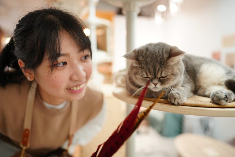 成為寵物保姆如何接單破萬?毛小愛收入?資深寵物保姆分享5招提升接單量秘訣