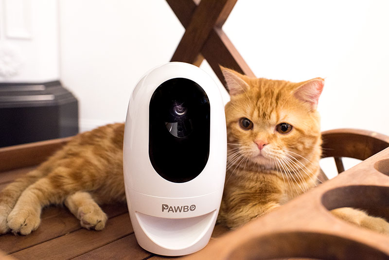 Pawbo-寵物互動攝影機-雷射光點遊戲與自動餵食
