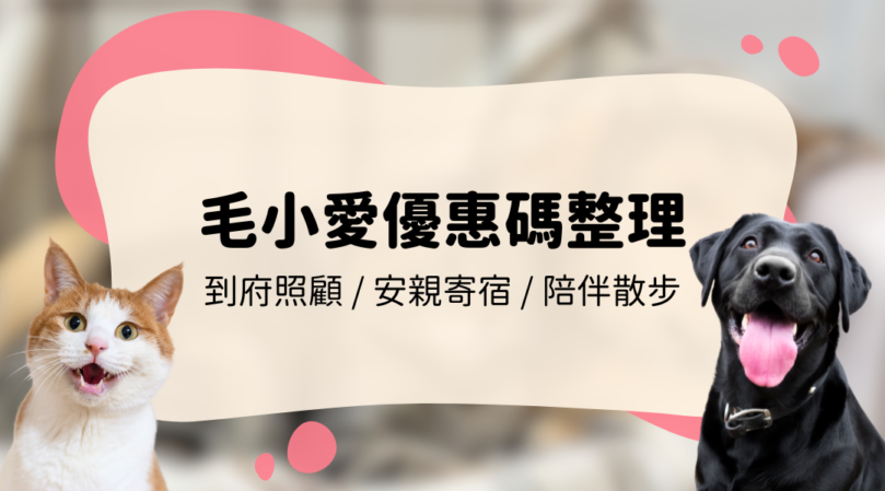 2025 毛小愛優惠碼整理