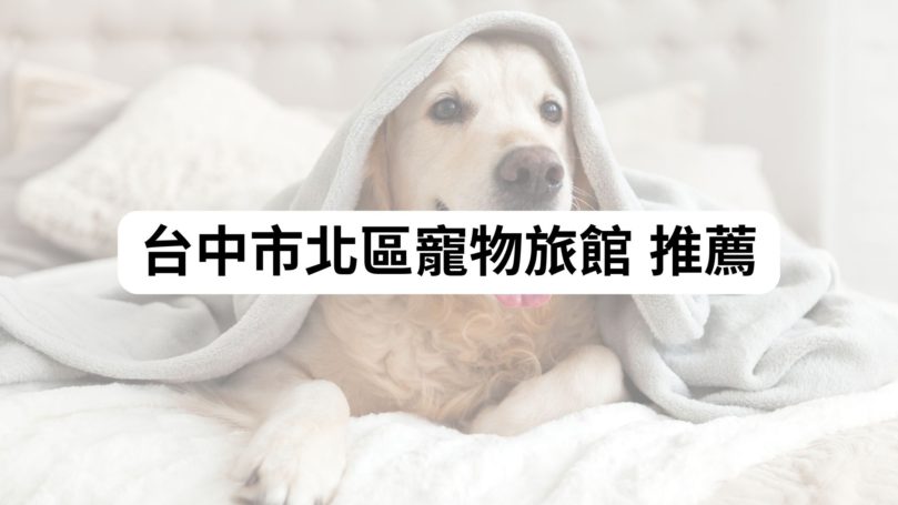 【2025台中北區貓旅館精選】5間高評價貓咪住宿|費用、照護、環境一次看懂|毛小愛推薦