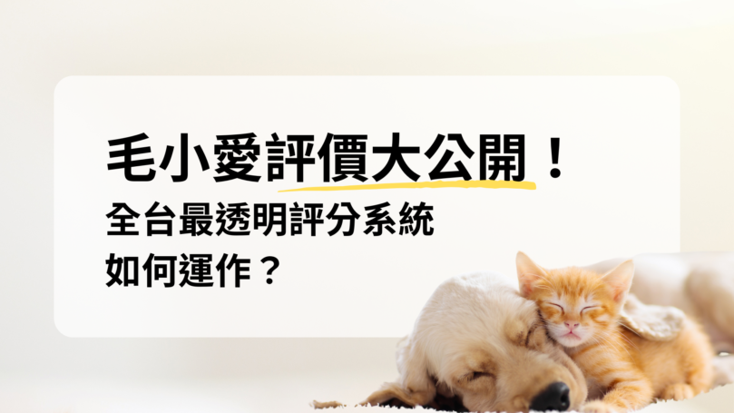 毛小愛評價？寵物保姆真的可靠嗎？寵物保姆評價系統大解析