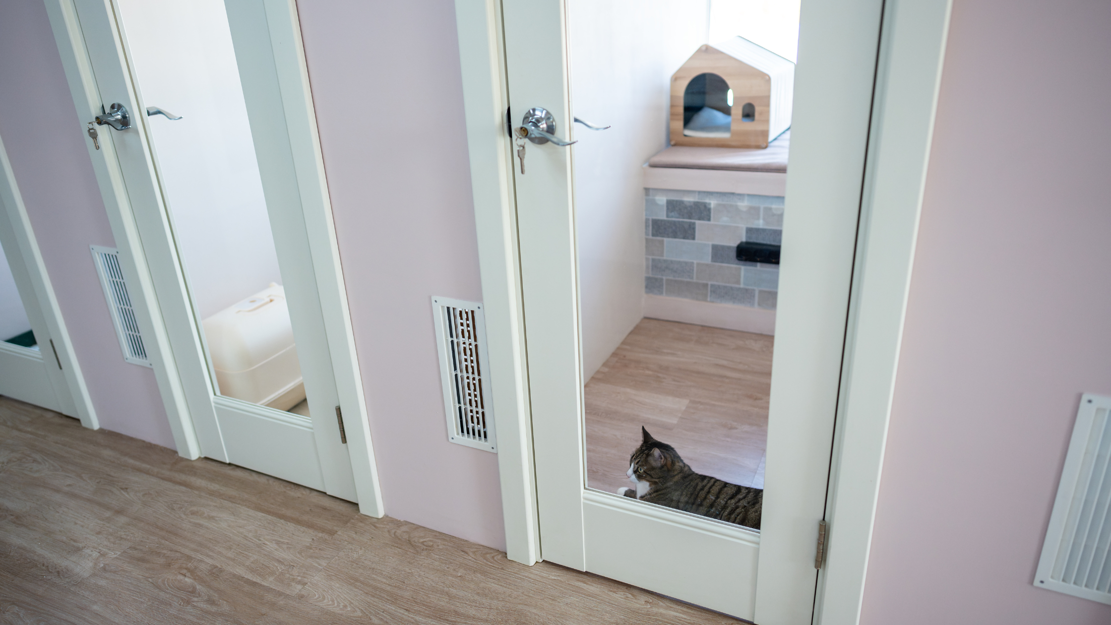 中壢寵物旅館價格與桃園寵物住宿評價總整理,包含機場接送與安親推薦