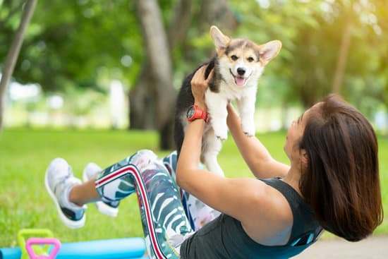 [毛孩運動篇] Doga？什麼是寵物瑜珈？