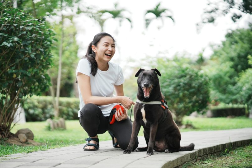 毛小愛 推薦三招教你輕鬆成為寵物中途寄養家庭，疫情在家不怕沒事做！-毛小愛寵物保姆