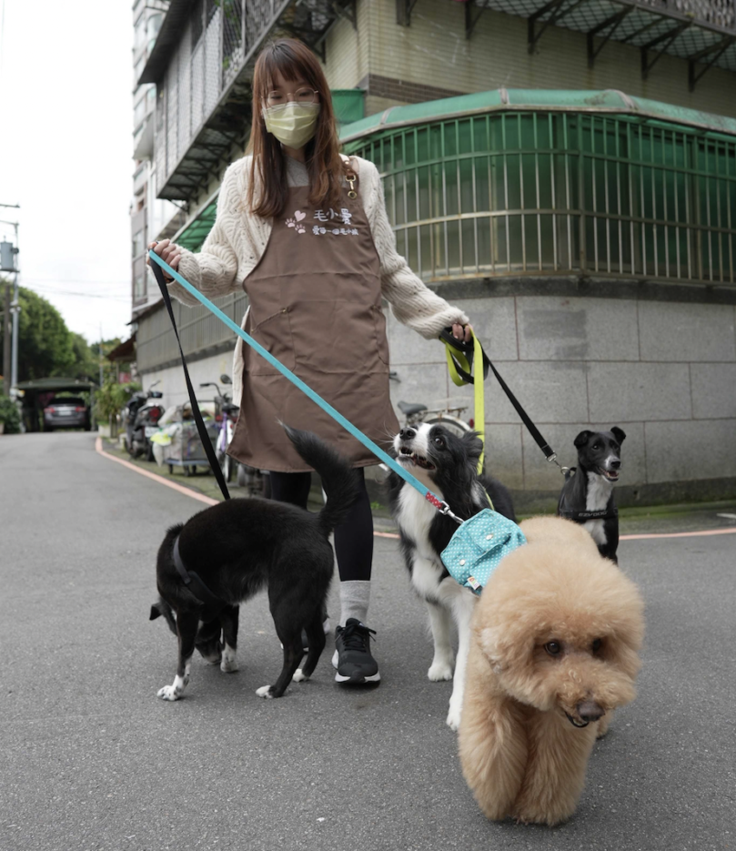 居家隔離、匡列、居家照護、確診，寵物怎麼辦？毛小愛推薦寵物照顧四招與注意事項｜毛小愛Fluv