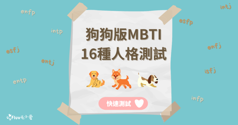 【狗狗MBTI測驗】狗狗的16種性格測驗！快來看看你們家的毛小孩屬於哪種MBTI！