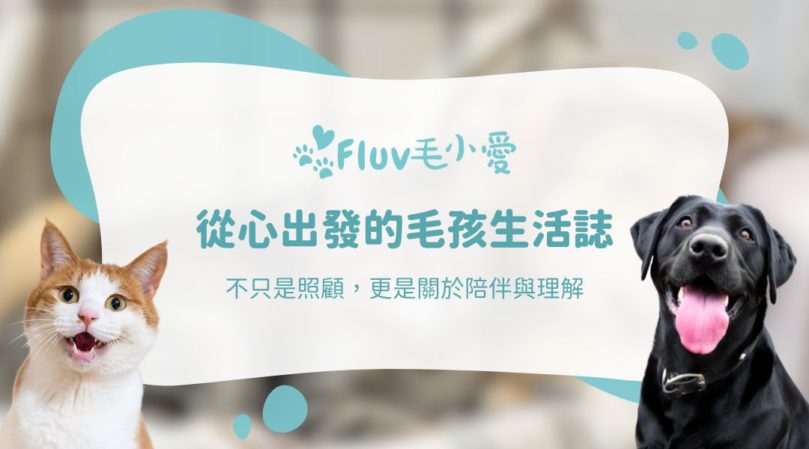 毛小愛部落格