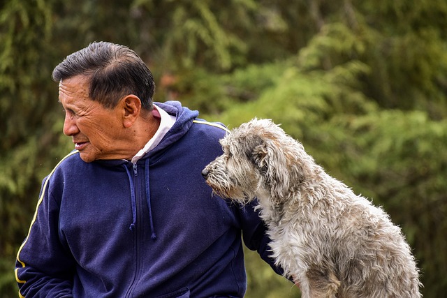 Senior pet adoption